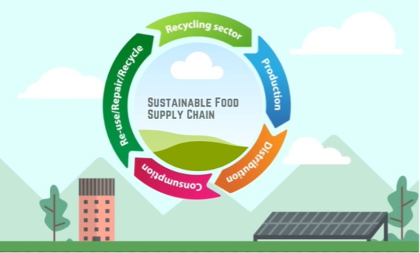 From Farm to Fork: Sustainability in Food Supply Chains