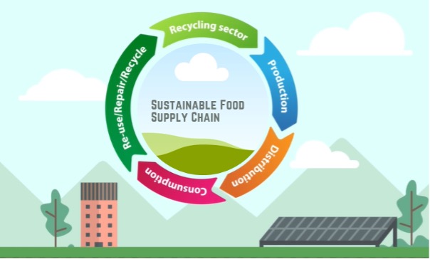 from farm to fork: sustainability in food supply chains