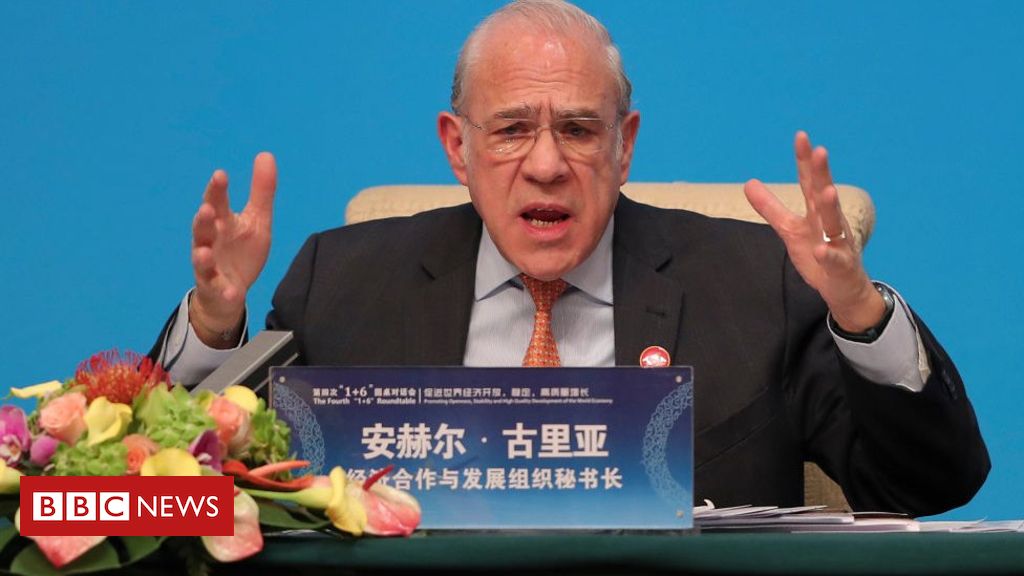 Global economy will suffer for years to come, says OECD