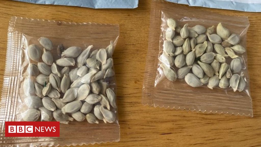 Mystery seeds: Amazon bans foreign plant sales in US